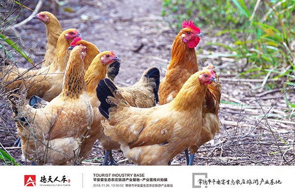 常德市德天廣告有限公司,品牌設(shè)計,活動策劃,影視攝制,廣告設(shè)備租賃,媒體廣告推廣,